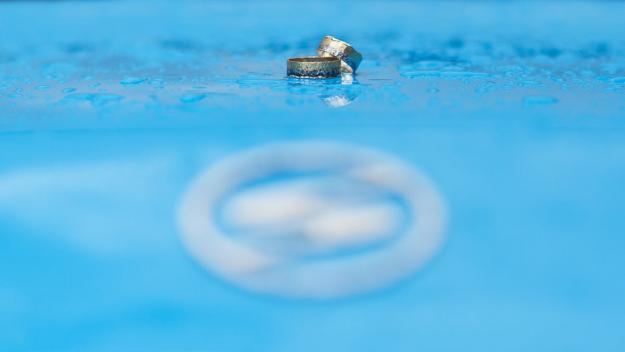 Ronald Seitz Saizew-Photography, Fotograf aus Dresden, Portrait, Hochzeit, Hochzeitsfotograf
